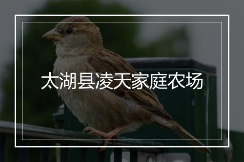 太湖县凌天家庭农场