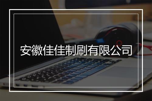 安徽佳佳制刷有限公司