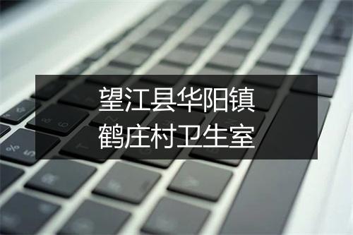 望江县华阳镇鹤庄村卫生室