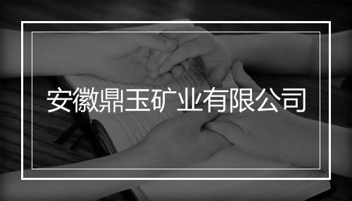 安徽鼎玉矿业有限公司