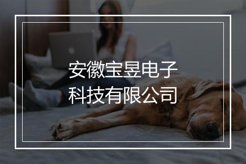 安徽宝昱电子科技有限公司