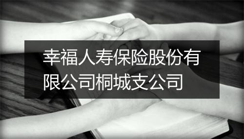 幸福人寿保险股份有限公司桐城支公司