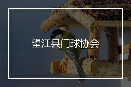 望江县门球协会