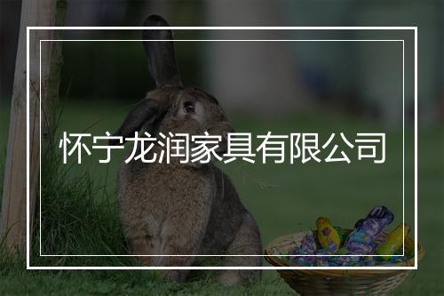 怀宁龙润家具有限公司