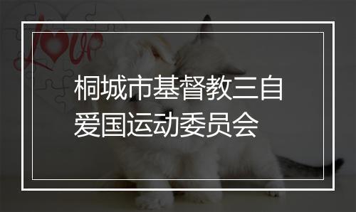 桐城市基督教三自爱国运动委员会