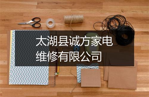 太湖县诚方家电维修有限公司