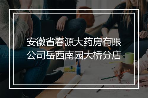 安徽省春源大药房有限公司岳西南园大桥分店