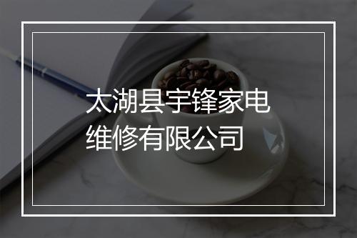 太湖县宇锋家电维修有限公司