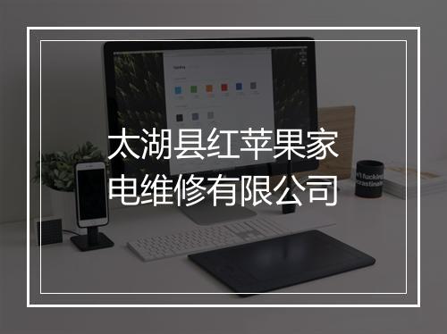 太湖县红苹果家电维修有限公司
