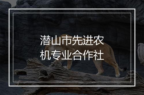 潜山市先进农机专业合作社