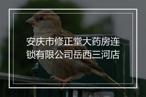 安庆市修正堂大药房连锁有限公司岳西三河店
