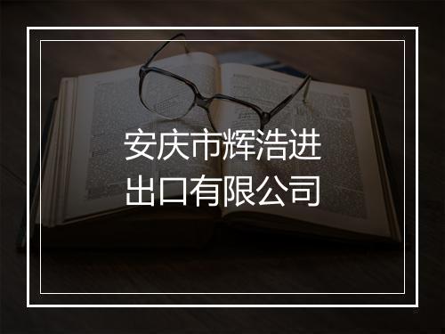 安庆市辉浩进出口有限公司