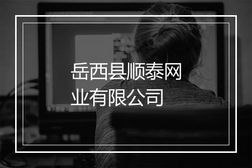 岳西县顺泰网业有限公司