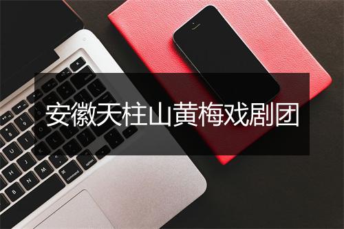 安徽天柱山黄梅戏剧团