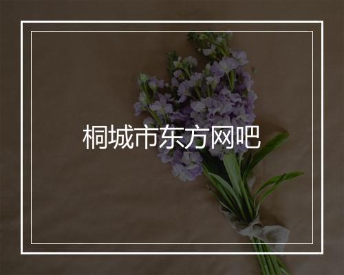 桐城市东方网吧