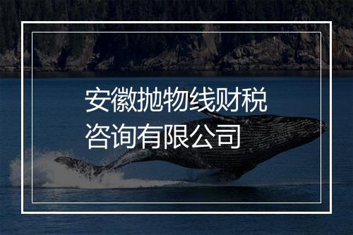 安徽抛物线财税咨询有限公司