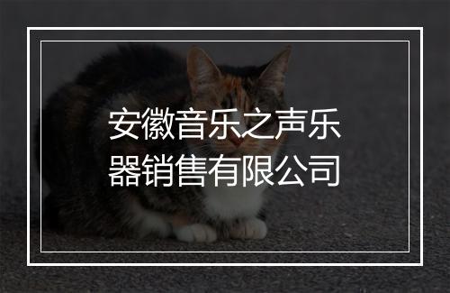 安徽音乐之声乐器销售有限公司