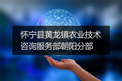 怀宁县黄龙镇农业技术咨询服务部朝阳分部