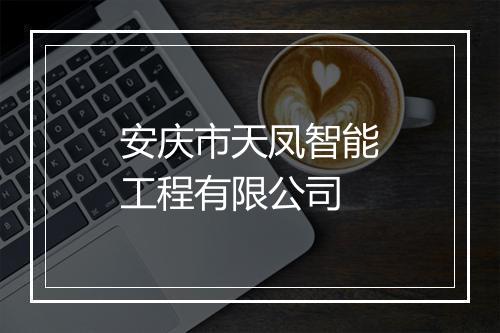 安庆市天凤智能工程有限公司