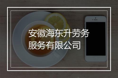 安徽海东升劳务服务有限公司