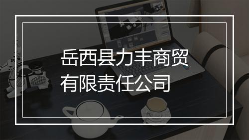 岳西县力丰商贸有限责任公司