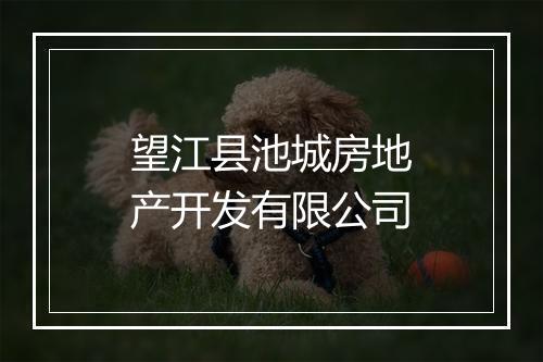 望江县池城房地产开发有限公司