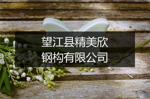 望江县精美欣钢构有限公司
