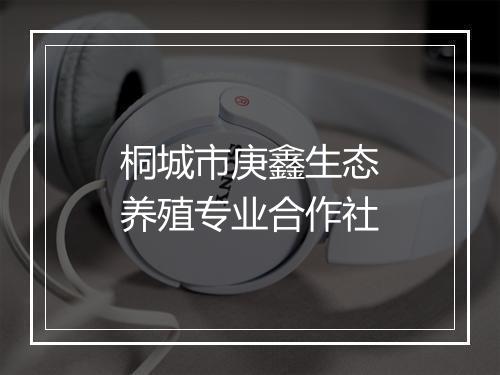桐城市庚鑫生态养殖专业合作社