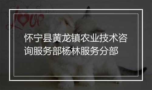 怀宁县黄龙镇农业技术咨询服务部杨林服务分部