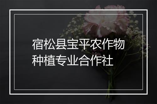 宿松县宝平农作物种植专业合作社
