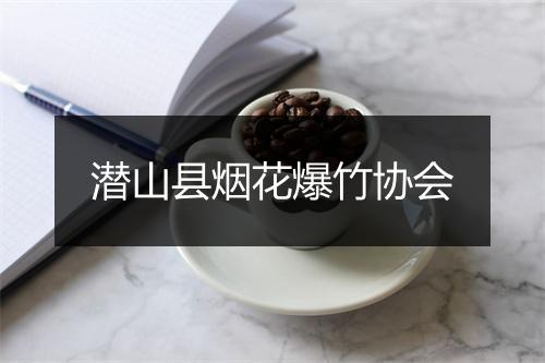 潜山县烟花爆竹协会