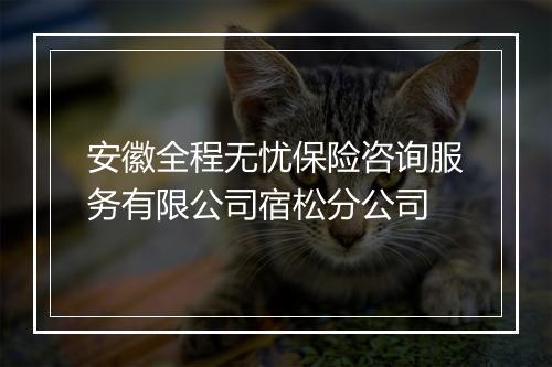 安徽全程无忧保险咨询服务有限公司宿松分公司