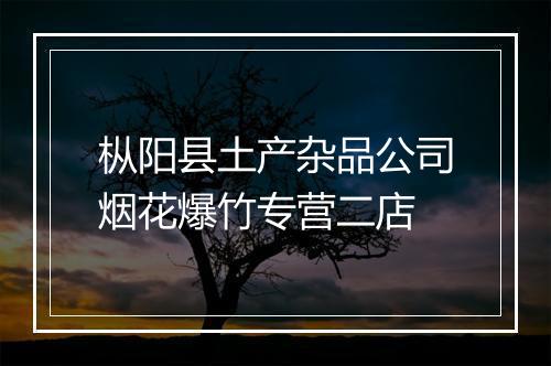 枞阳县土产杂品公司烟花爆竹专营二店