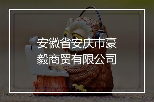 安徽省安庆市豪毅商贸有限公司