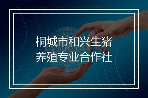 桐城市和兴生猪养殖专业合作社