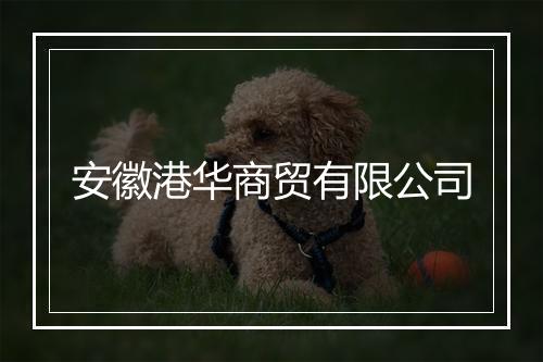 安徽港华商贸有限公司