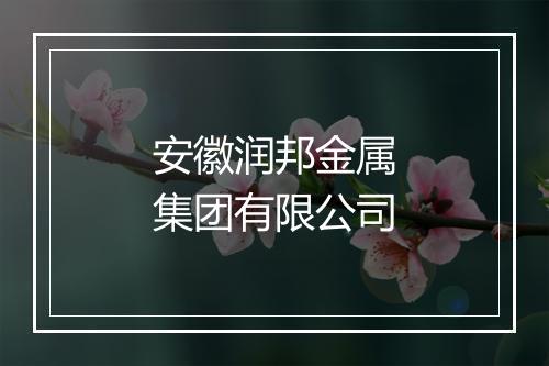 安徽润邦金属集团有限公司