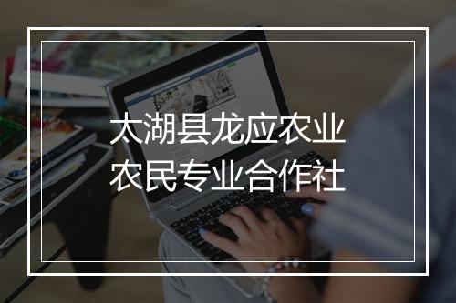 太湖县龙应农业农民专业合作社