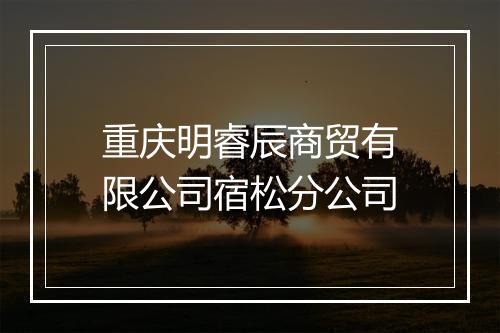 重庆明睿辰商贸有限公司宿松分公司