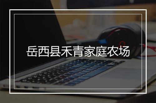 岳西县禾青家庭农场