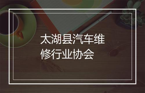 太湖县汽车维修行业协会