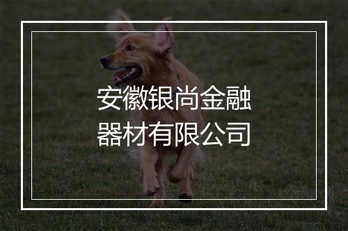 安徽银尚金融器材有限公司