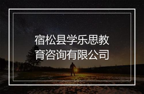 宿松县学乐思教育咨询有限公司