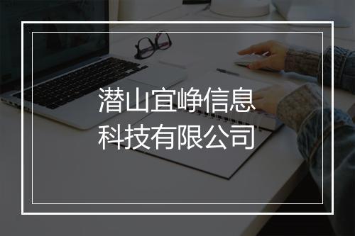 潜山宜峥信息科技有限公司