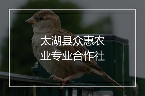 太湖县众惠农业专业合作社