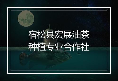 宿松县宏展油茶种植专业合作社