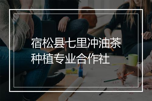 宿松县七里冲油茶种植专业合作社