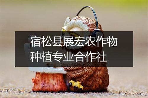 宿松县展宏农作物种植专业合作社