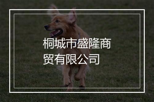 桐城市盛隆商贸有限公司