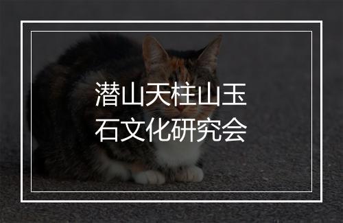 潜山天柱山玉石文化研究会